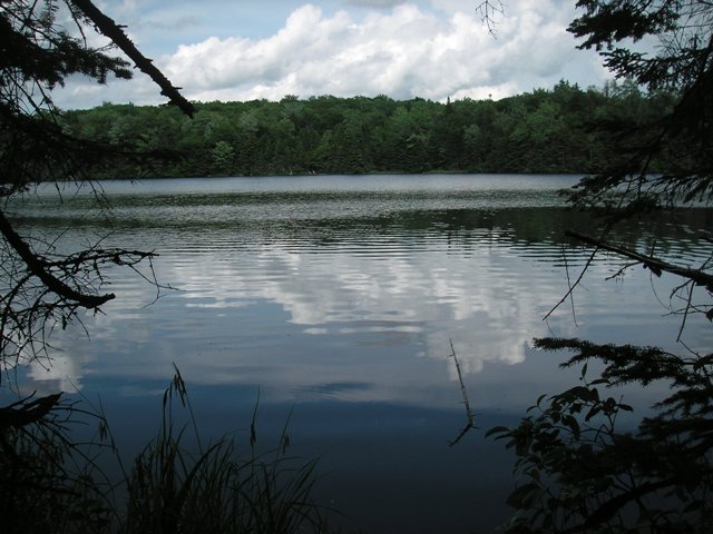 reservoir at Woodford